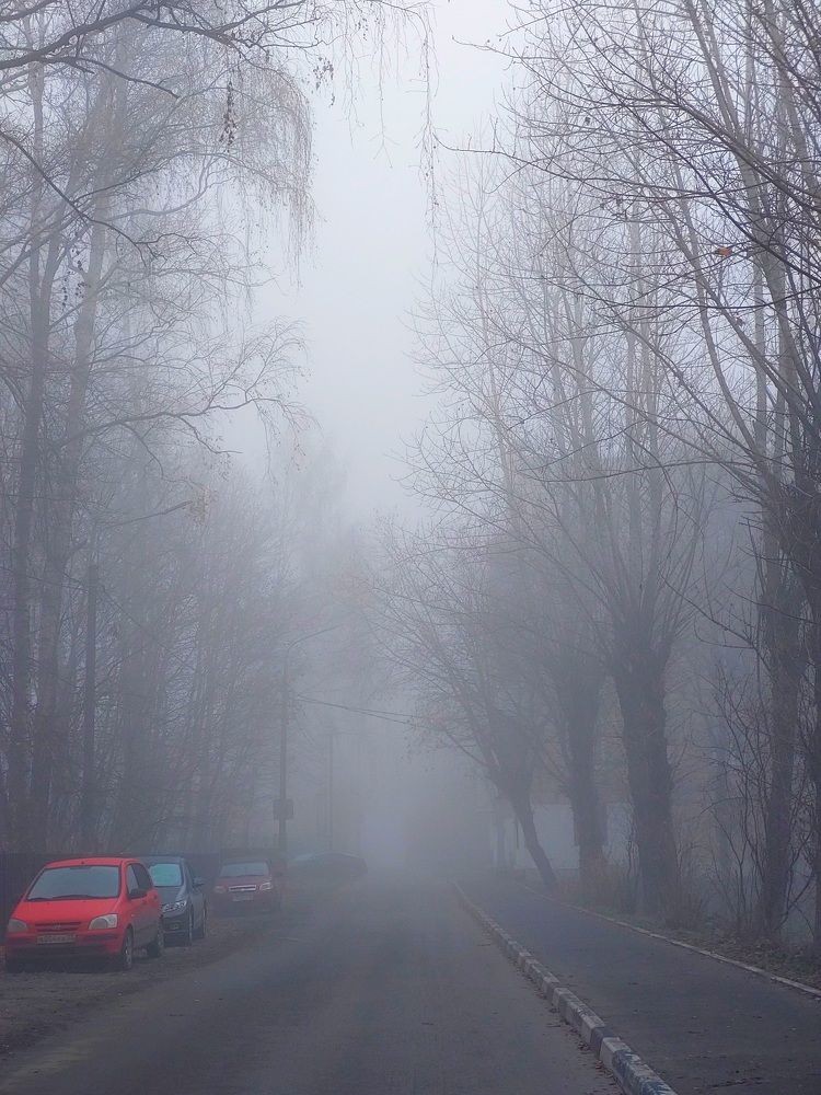 Photograph by Елена Жеребцова