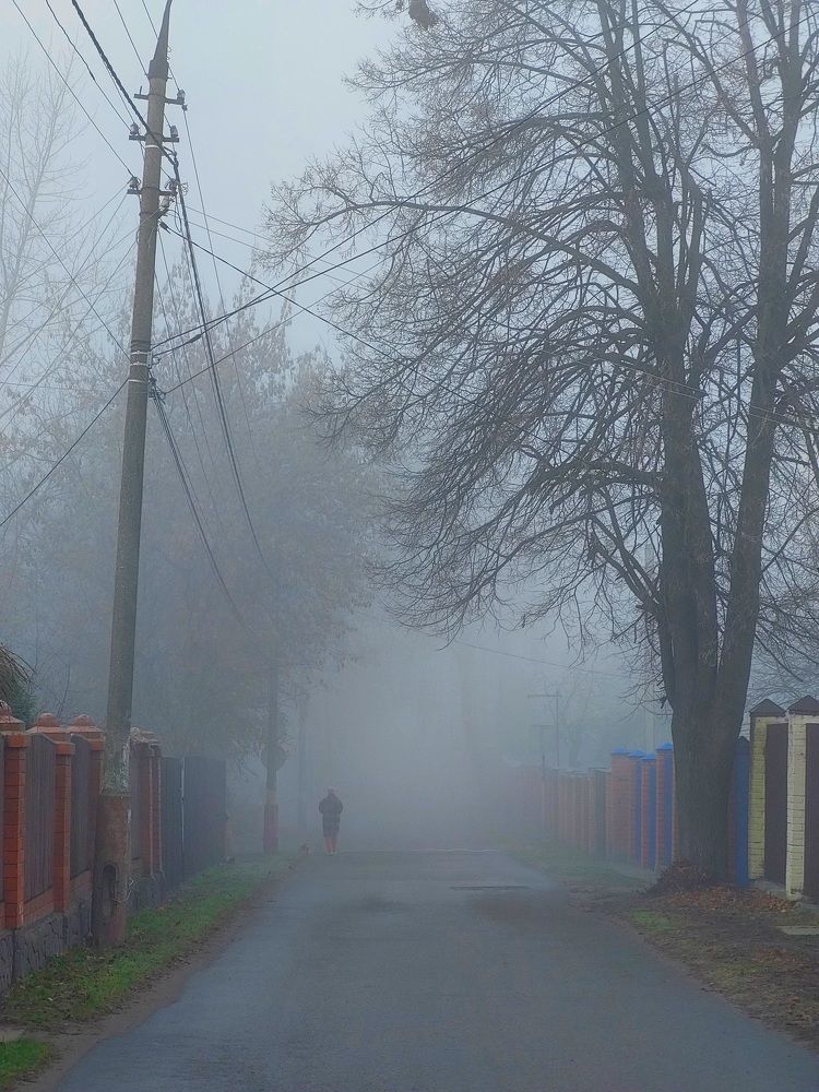 Photograph by Елена Жеребцова
