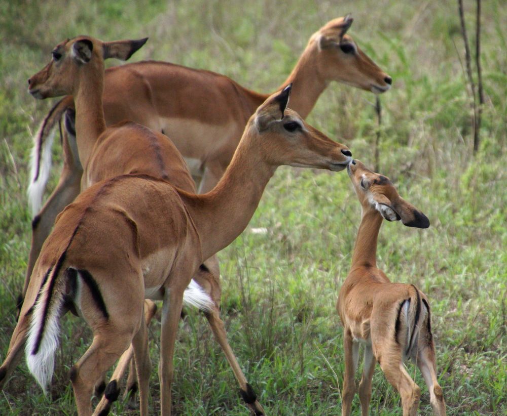 Photograph by Юрий Сычев