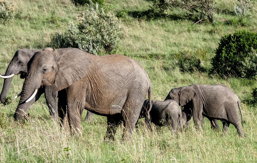 Photograph by Юрий Сычев