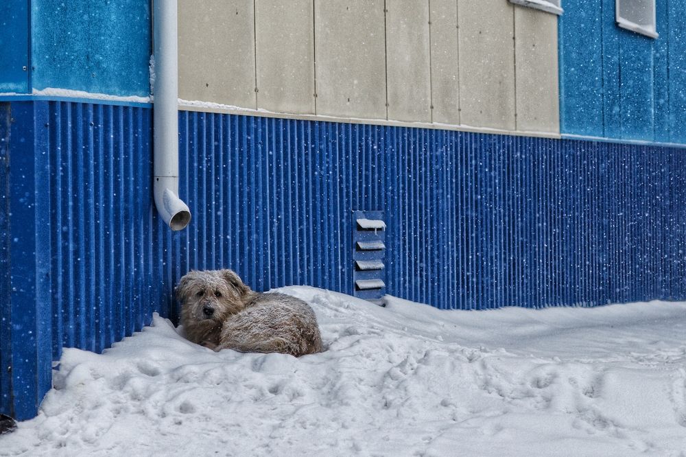 Photograph by Павел Герасимович