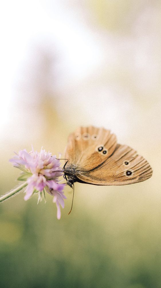 Photograph by Левичев Валетнин