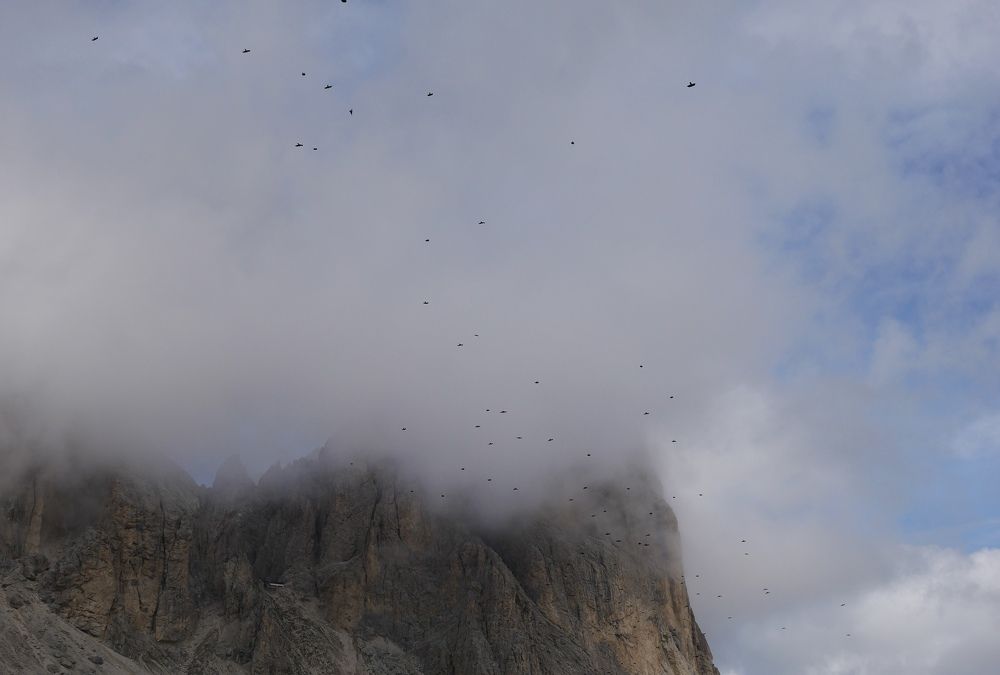 Photo #9323772