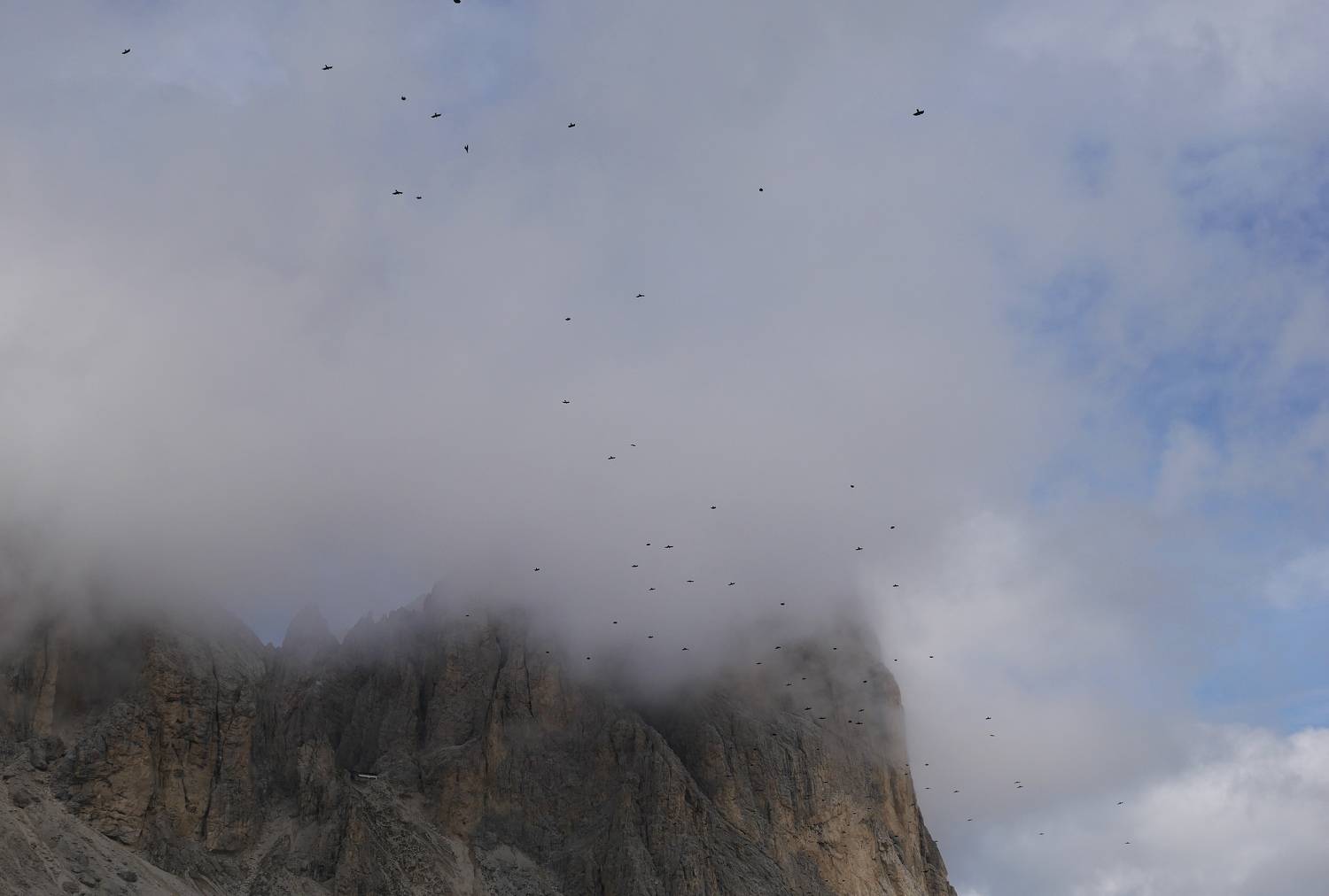 Photo #9323772