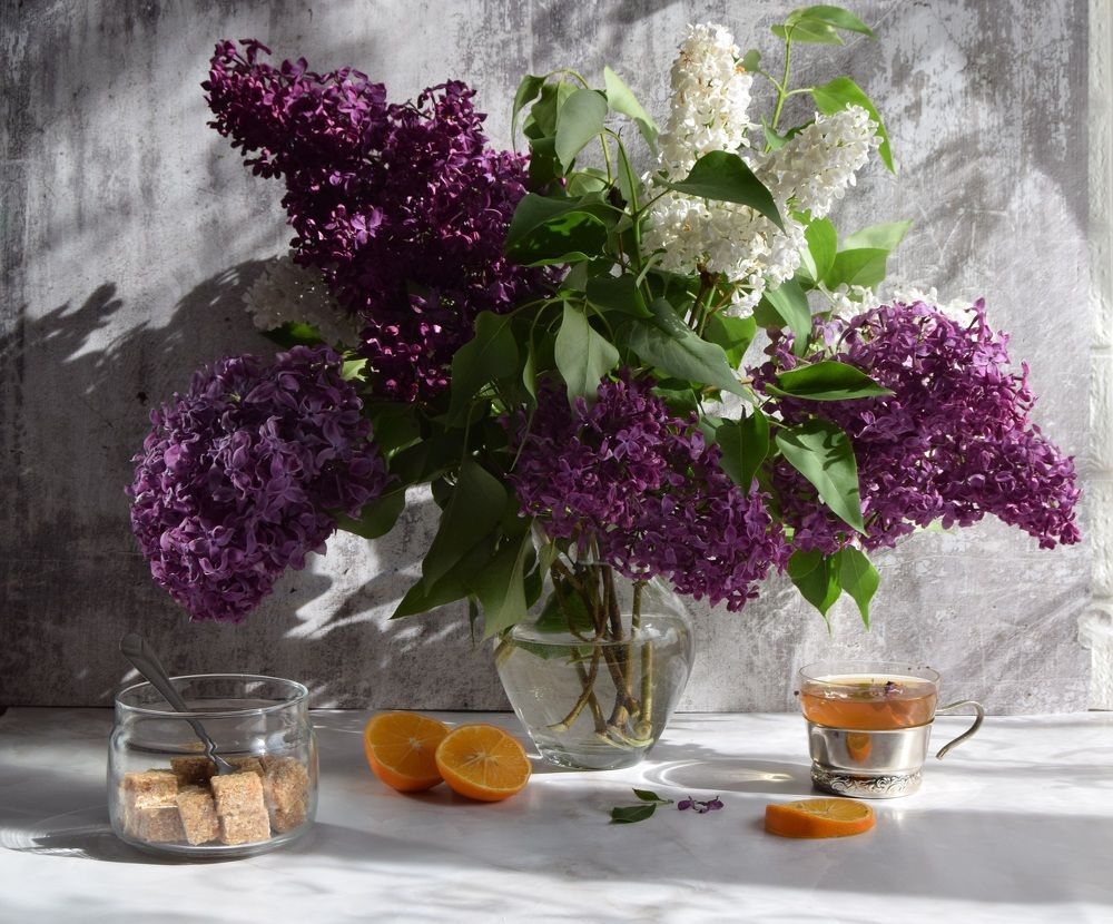 Photograph by Svetlana Korogod