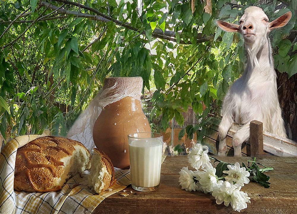 Photograph by Алла Шевченко