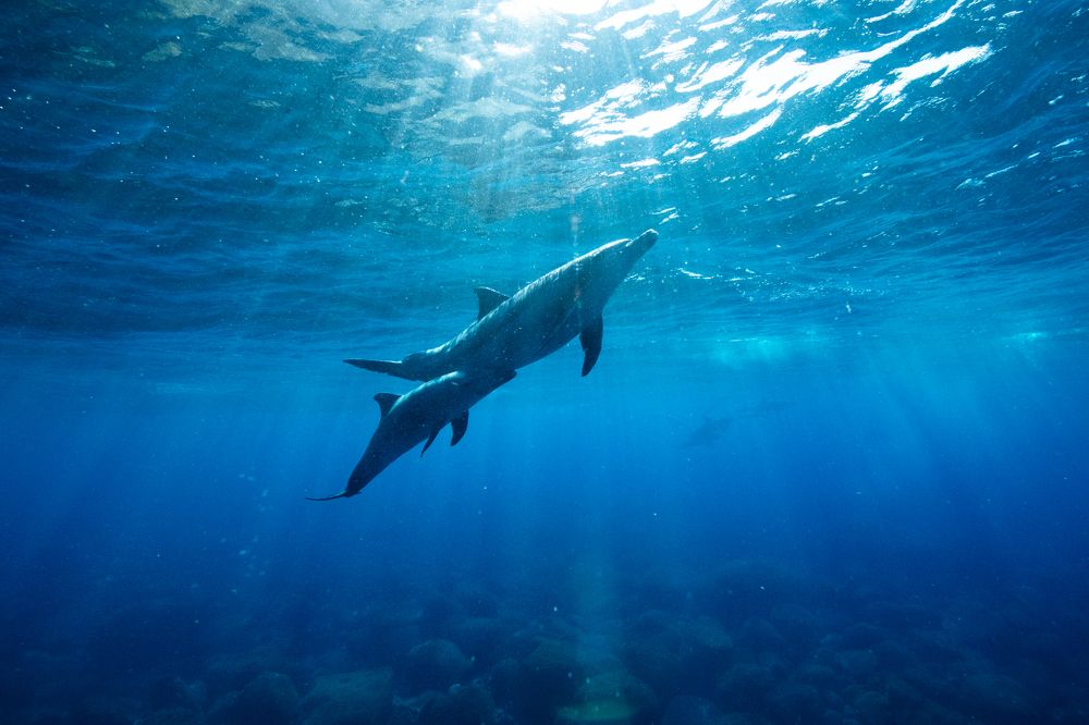 Photograph by HITOMI TSUCHIYA