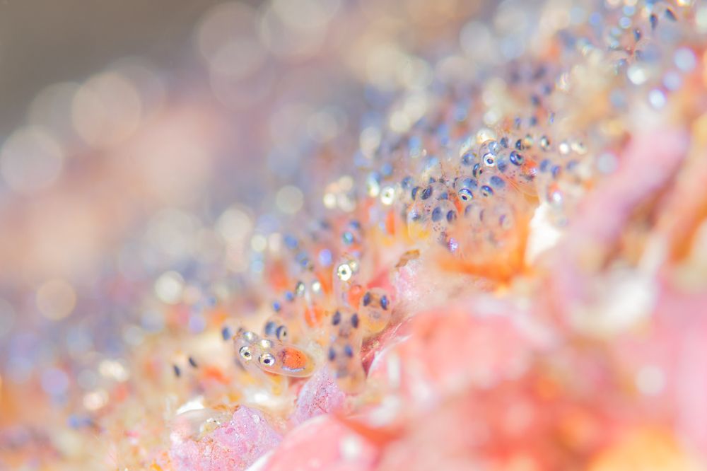 Photograph by HITOMI TSUCHIYA