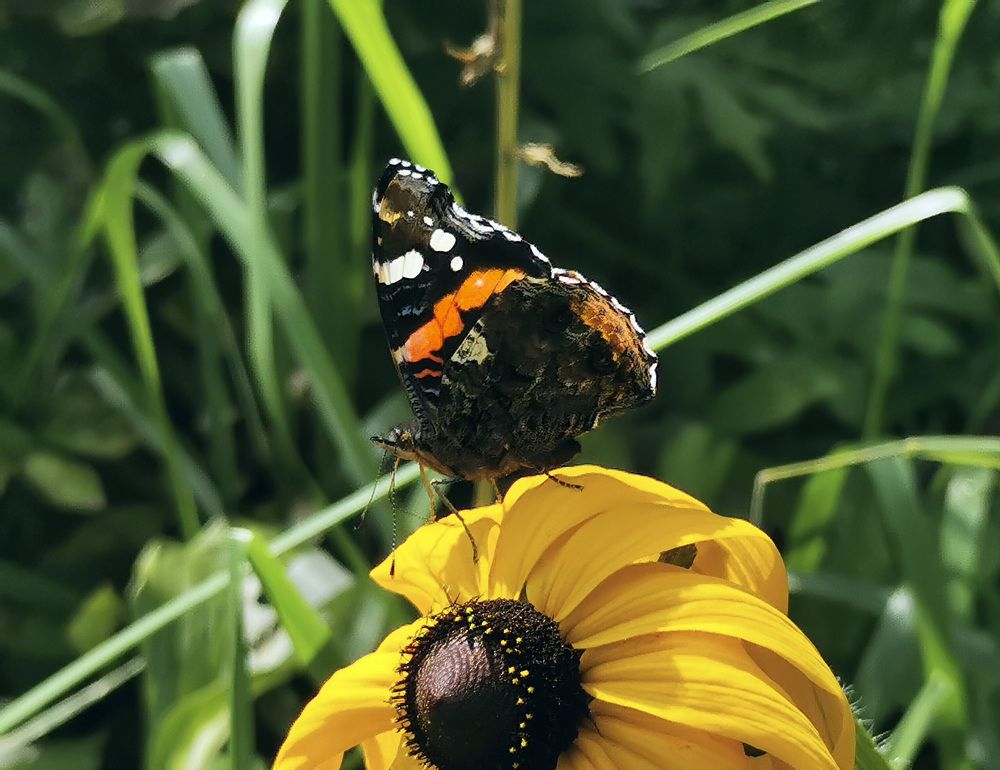 Photograph by Ева Мельникова