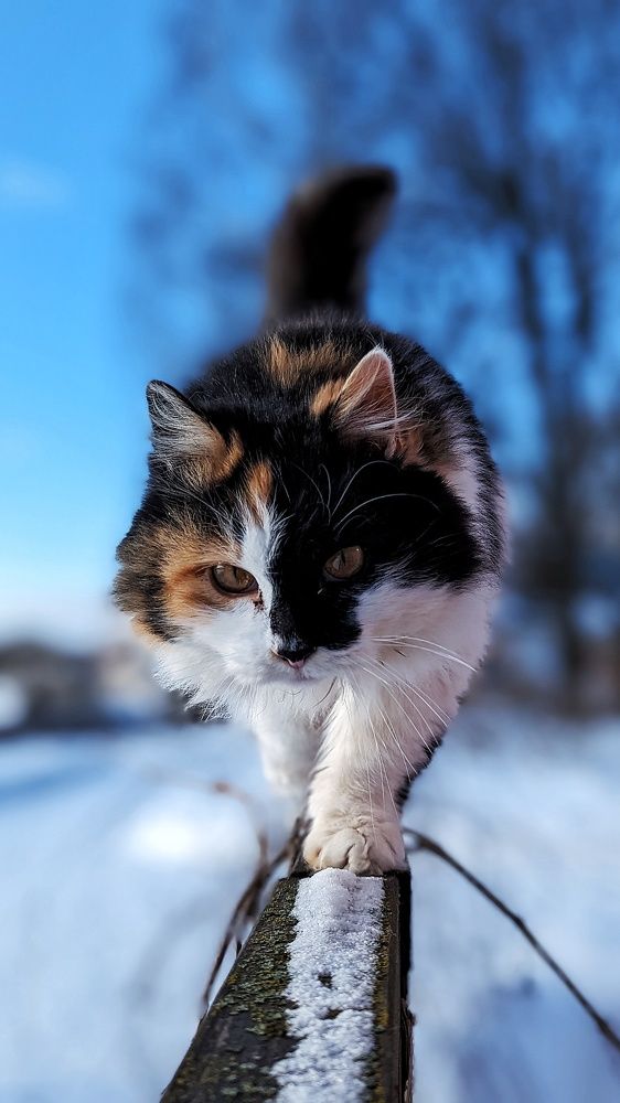 Photograph by Lenar Valeev