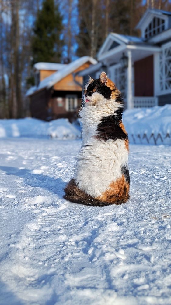 Photograph by Lenar Valeev