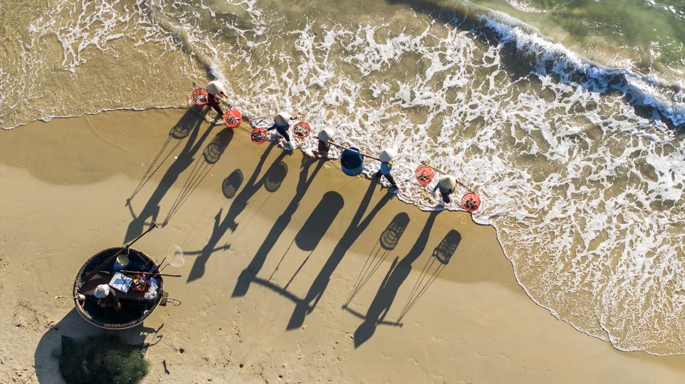 early morning at the fish market