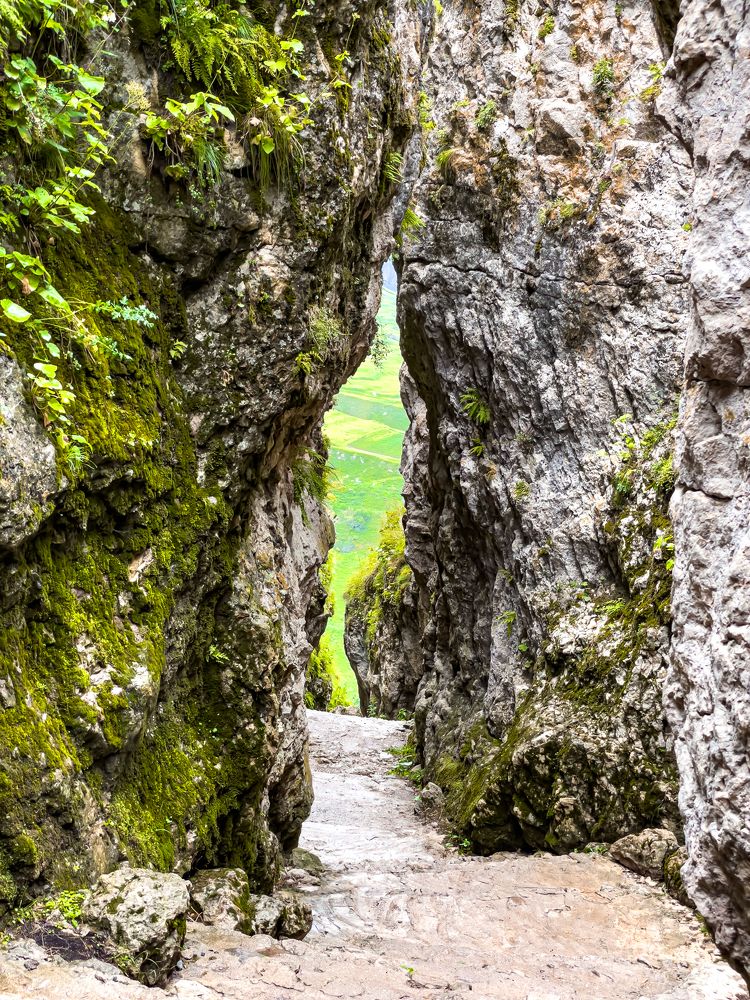 Photograph by Артём Бочкарёв