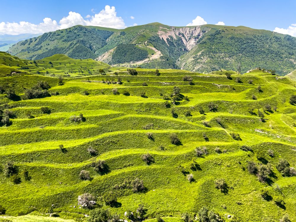 Photograph by Артём Бочкарёв