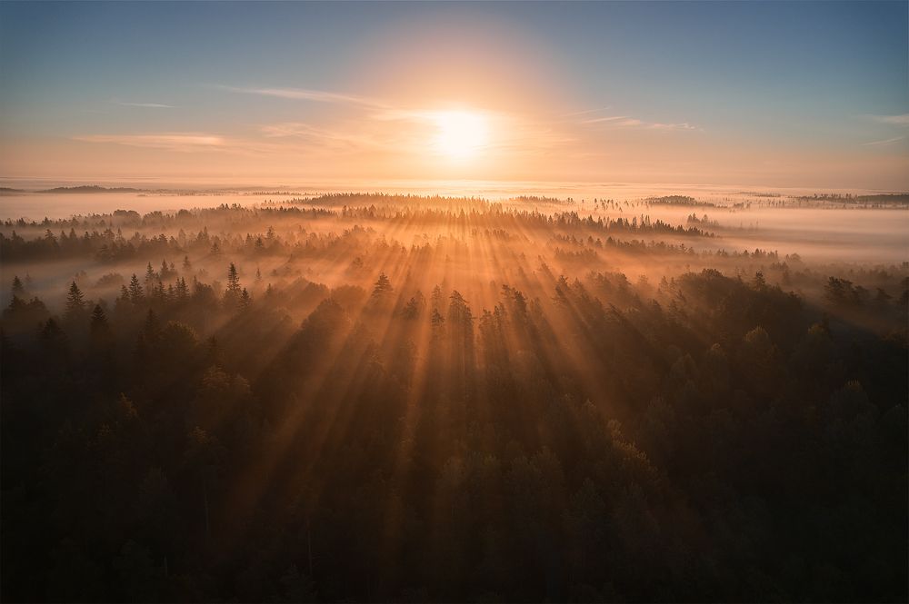 Photograph by Чехонин Александр