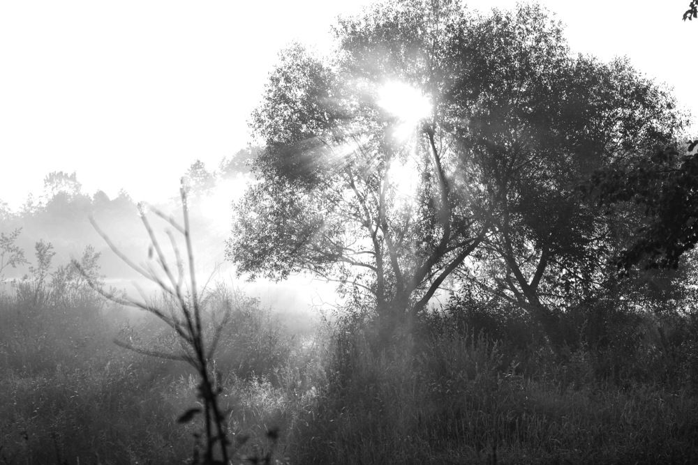 Photograph by Густав Подгорный