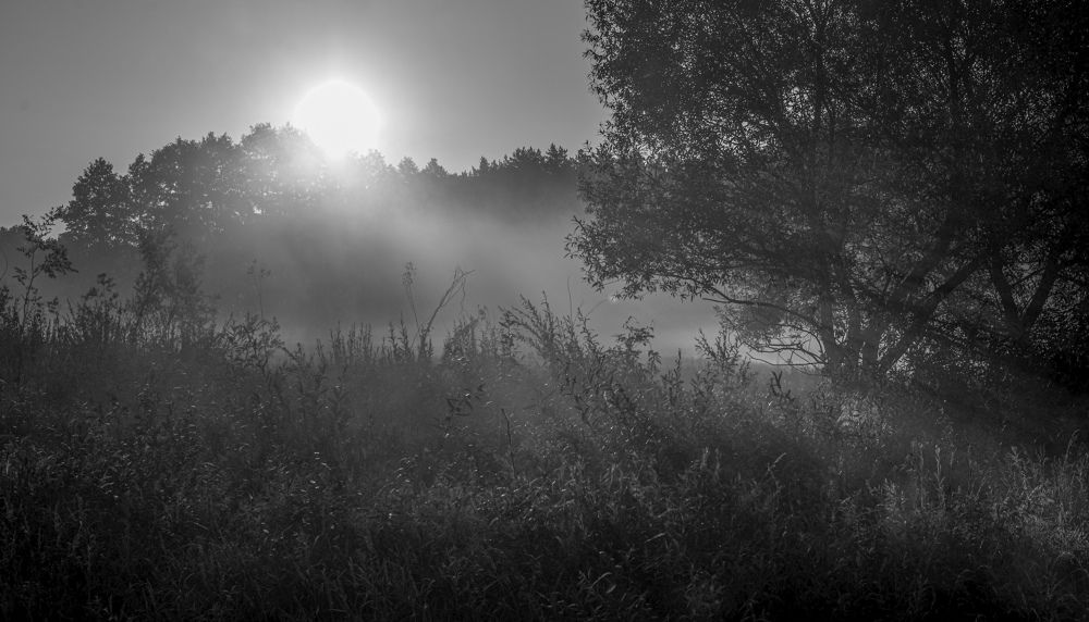 Photograph by Густав Подгорный