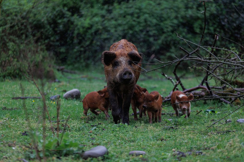 Фотография автора Fallen Angel