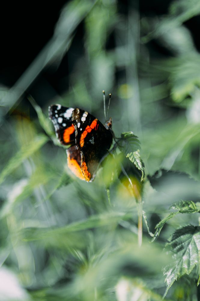 Photograph by Мария Федорова