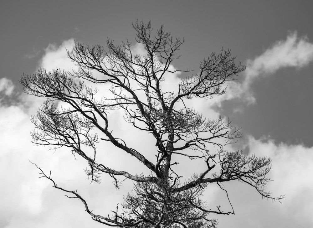 Photograph by Виталий Любавин