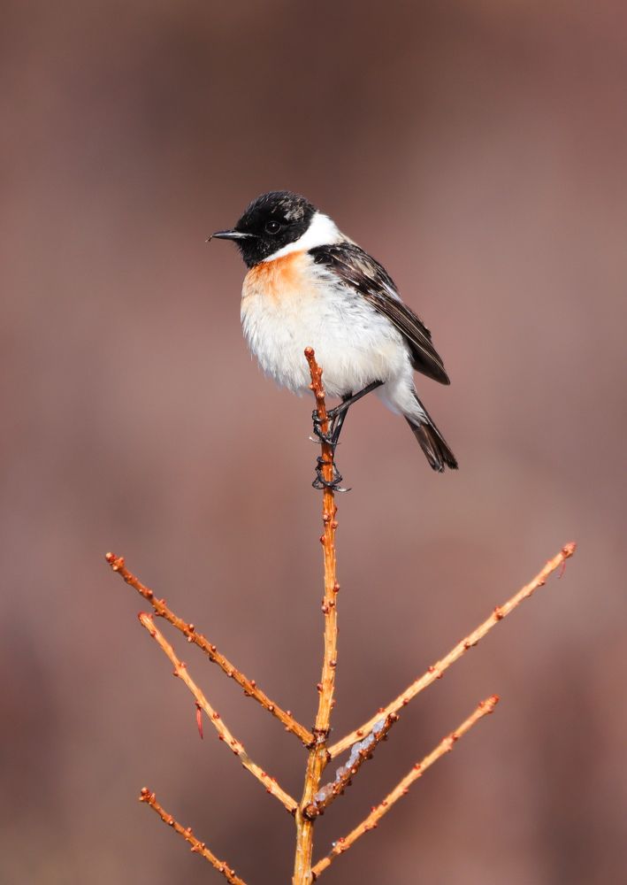 Photograph by Алексей