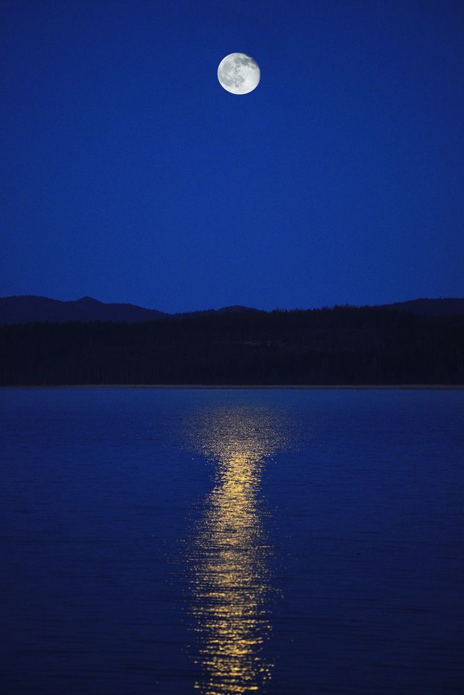 Photograph by Дмитрий Юдин