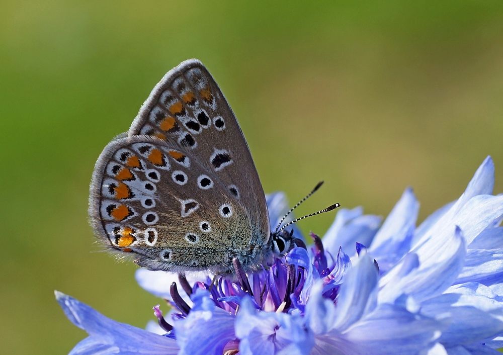 Фотография автора Дмитрий Чуфаров