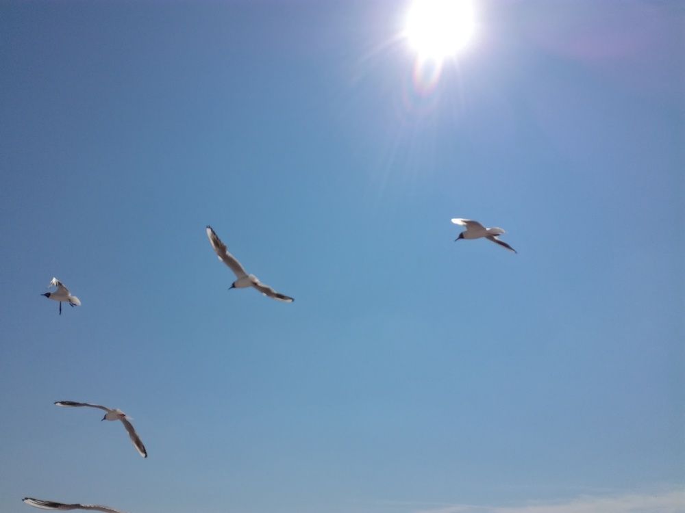 Photograph by Любовь