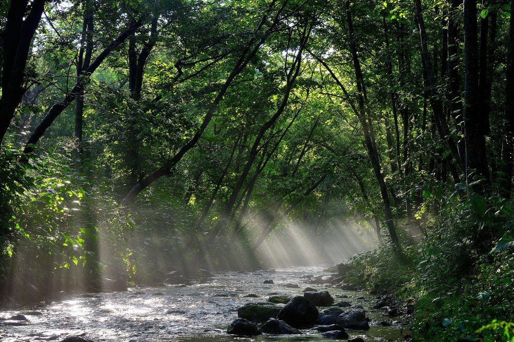 Photograph by Дмитрий Юдин