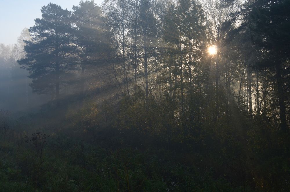 Фотография автора Сергей Королёв