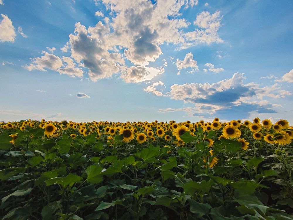 Фотография автора Юлия Гантимурова