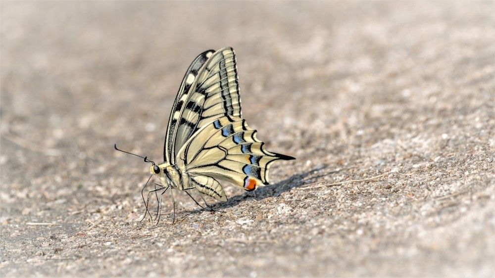 Photograph by константин