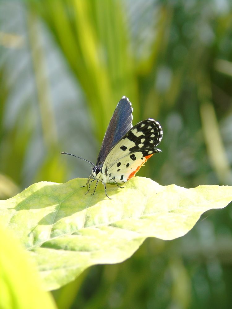 Photograph by Chitransh Agrawal