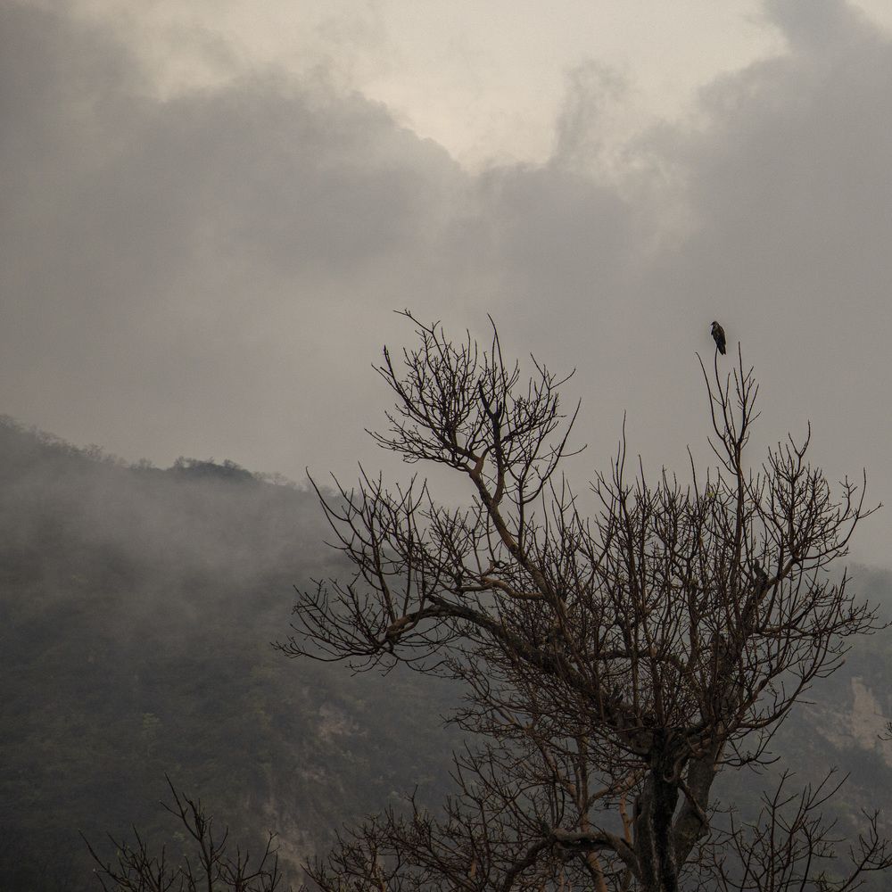 Photograph by Natalja Poplavska