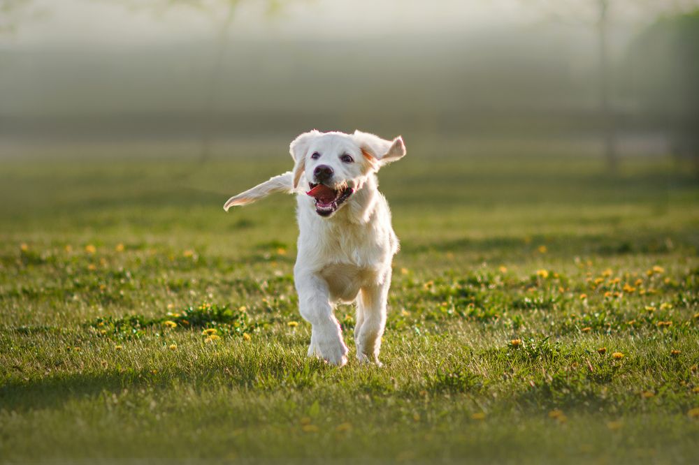 Photograph by Анна