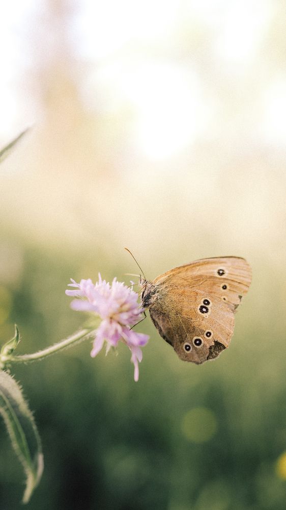 Photograph by Левичев Валетнин