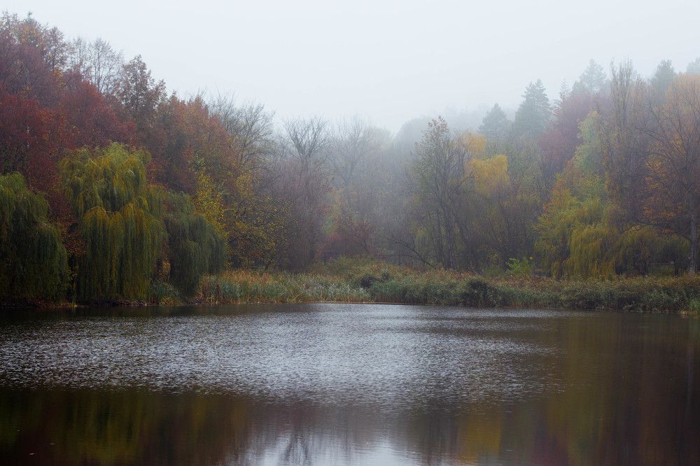 Photograph by Кристина Присакарь
