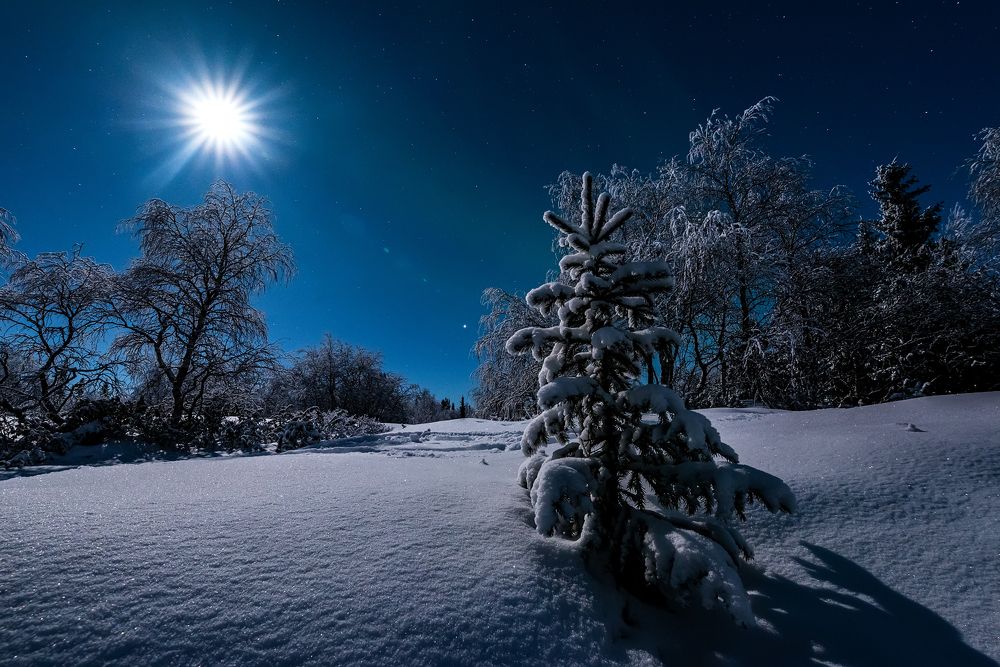 Photograph by Куликов Виктор