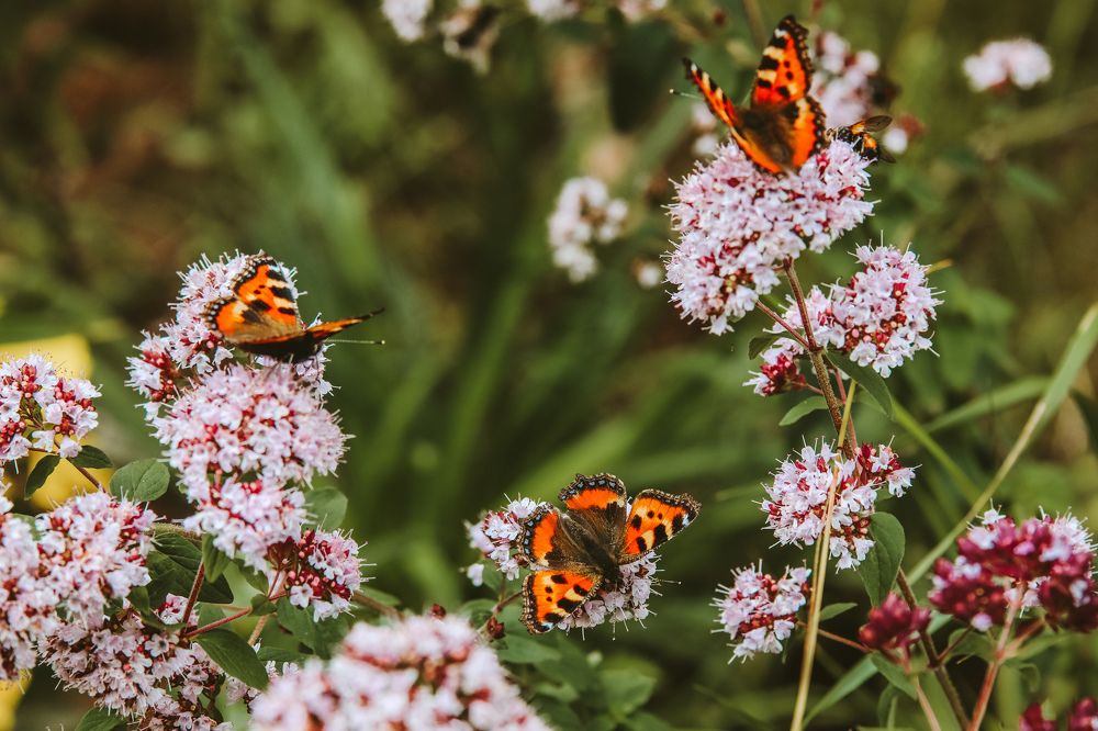 Photograph by Алексей Голубев
