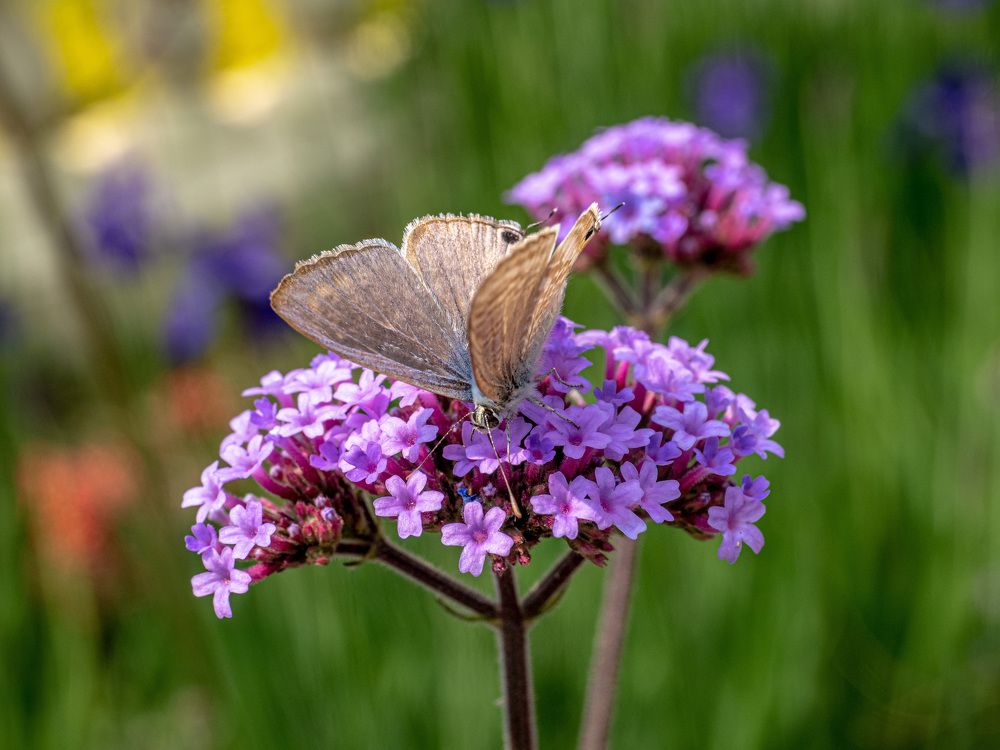 Photograph by Михаил