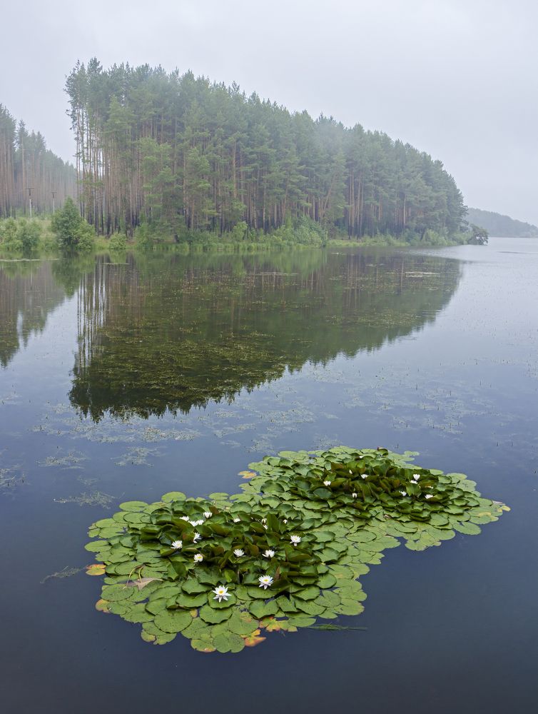 Photograph by Николай Ларионов