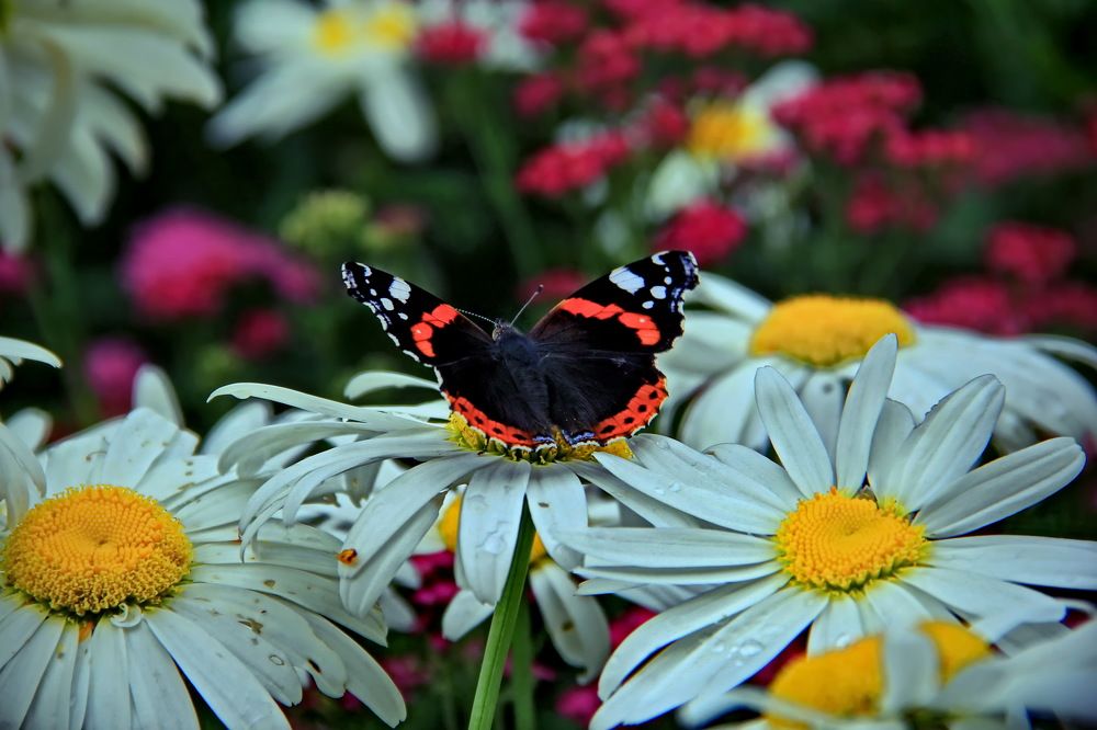 Photograph by Староверов Станислав