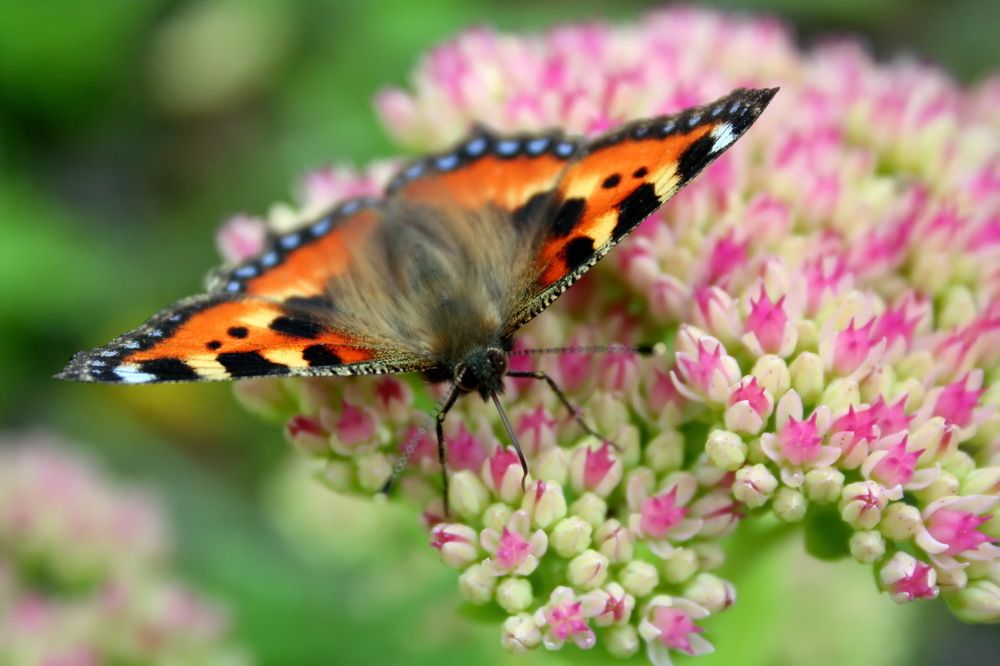 Photograph by Староверов Станислав