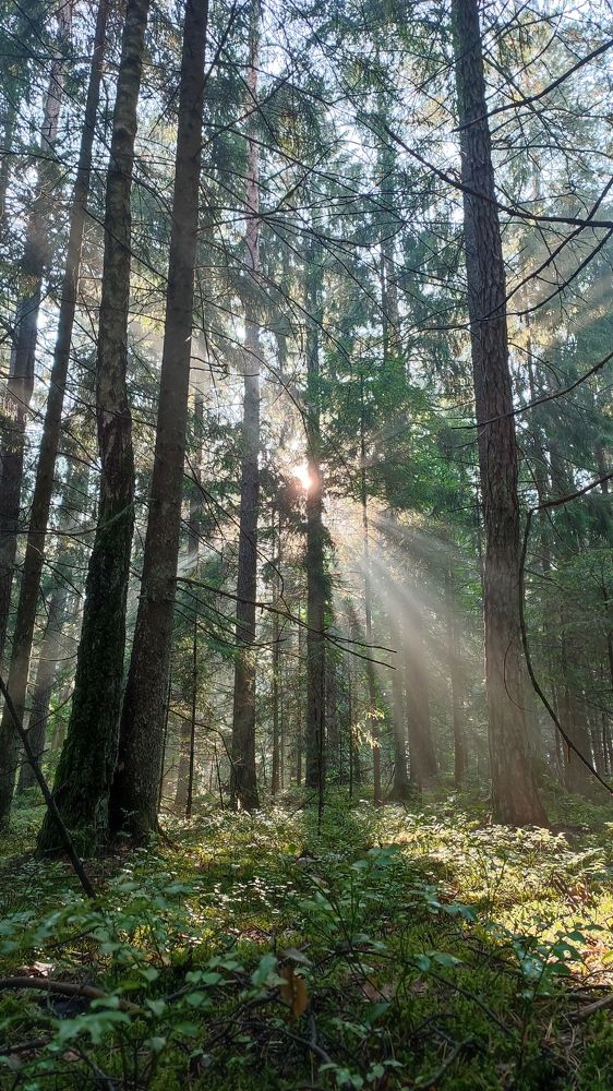 Photograph by Ольга Сучкова