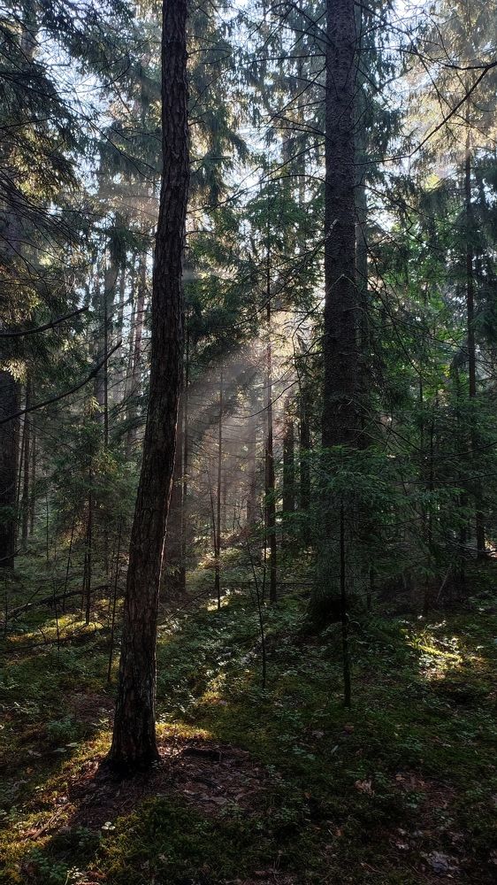 Photograph by Ольга Сучкова