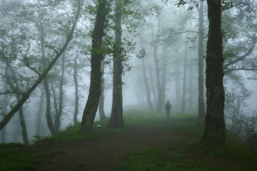 Фотография автора amir shafahi