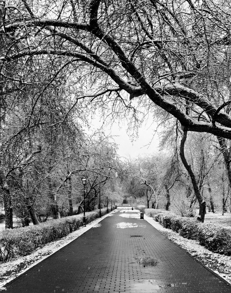 Photograph by Юлия Майкова