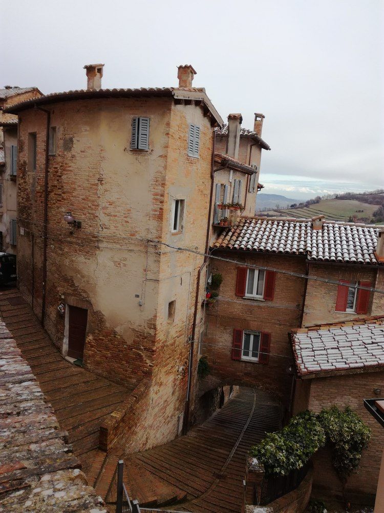 Photograph by Liubov Tarasova