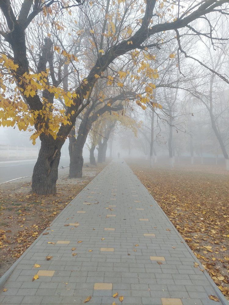 Фотография автора Оксана