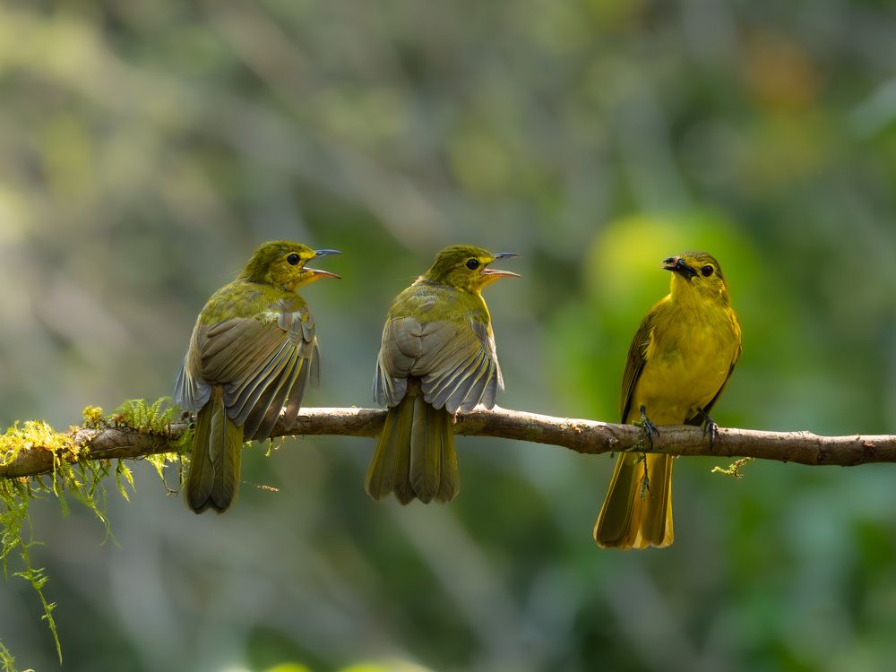 Фотография автора Anandhu M